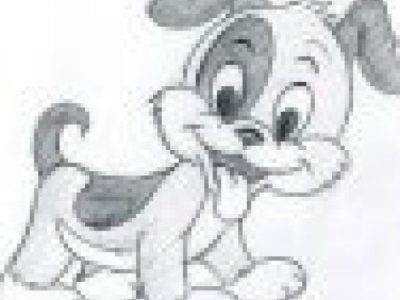 What if Animals Take Over Mankind&nbsp;??